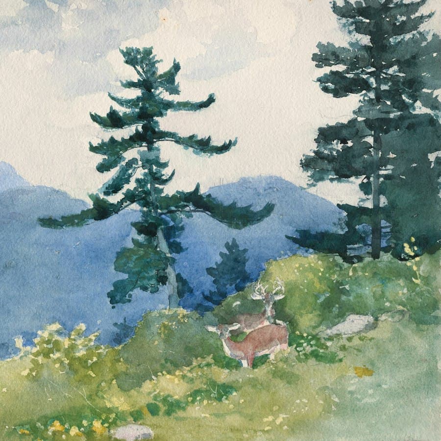 Mountain Sunrise